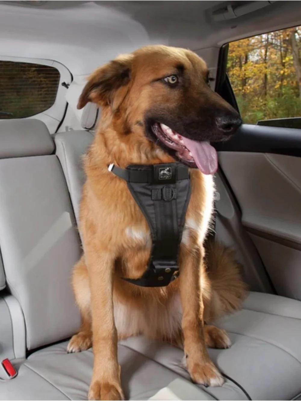 Kurgo Black Large True Fit Enhanced Strength Car/No Pull Harness For Dogs